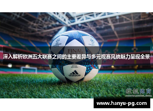 深入解析欧洲五大联赛之间的主要差异与多元观赛风貌魅力呈现全景