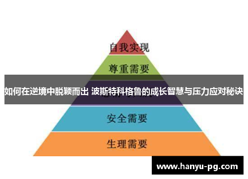 如何在逆境中脱颖而出 波斯特科格鲁的成长智慧与压力应对秘诀
